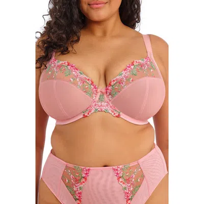 Elomi Aerith Full Figure Underwire Plunge Bra In Pink