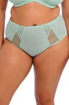 Elomi Brianna Briefs In Green