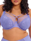 Elomi Brianna Cage Plunge Bra In Jacaranda