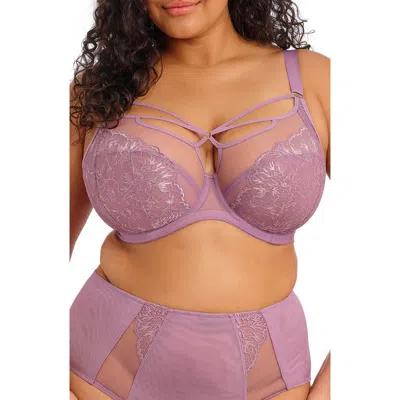 Elomi Plus Size Brianna Underwire Plunge Bra In Purple