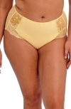 Elomi Charley Full Figure Briefs In Lemon Fizz (lez)