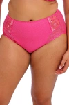Elomi Charley Full Figure Briefs In Pink