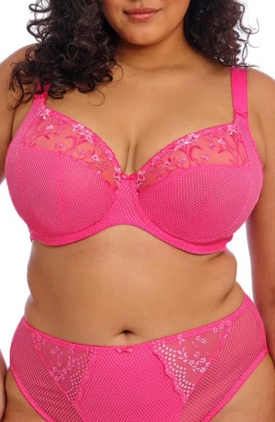 Elomi Charley Full Figure Underwire Plunge Bra In Pink