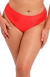 Elomi Charley Hi-cut Smoothing Brief In Salsa