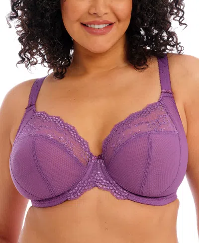 Elomi Full Figure Charley Stretch Lace Bra El4382, Online Only In Purple
