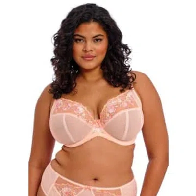 Elomi Himari Plunge Bra In Peach Whisper In Peach Whisper Pep