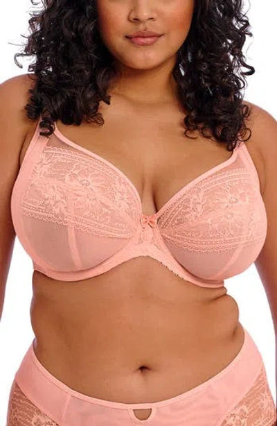 Elomi Kendra Underwire Plunge Bra In Rose Bud