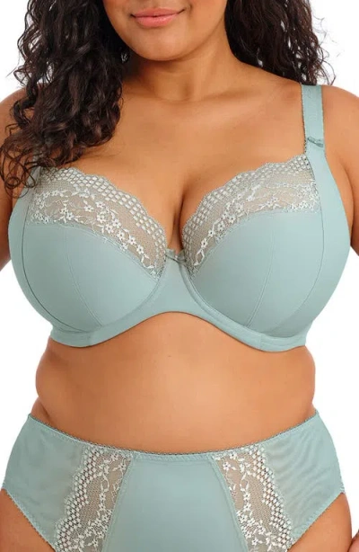 Elomi Lucie Full Figure Underwire Plunge Bra In Blue