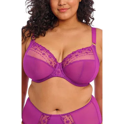 Elomi Matilda Full Figure Underwire Plunge Bra In Purple