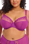 Elomi Matilda Full Figure Underwire Plunge Bra In Hollyhock