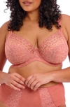 Elomi Matilda Side Support Plunge Bra In Rose Leopard