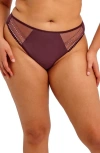 Elomi Matilda Thong In Purple