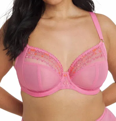 Elomi Matilda Underwire Plunge - Plus In Wild Cherry In Pink