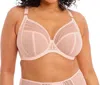 Elomi Matilda Full Figure Underwire Plunge Bra