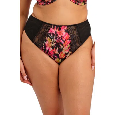 Elomi Morgan Briefs In Black