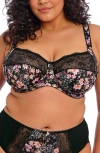 Elomi Morgan Full Figure Underwire Bra In Summer Garden