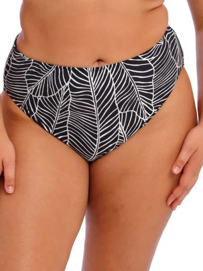 Elomi Plus Size Kata Beach Mid-rise Bikini Bottom In Black