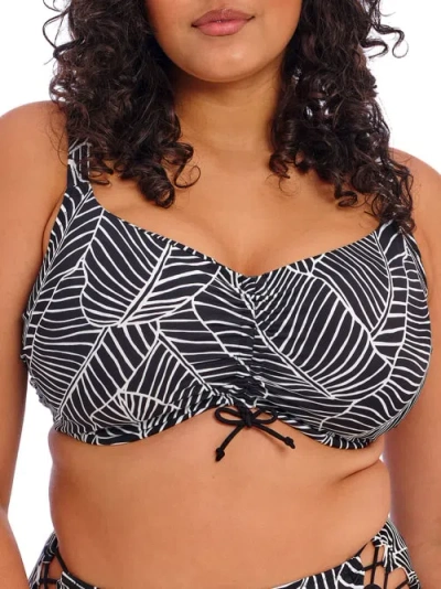 Elomi Plus Size Kata Beach Underwire Bikini Top In Black