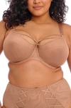 Elomi Sachi Full Figure Underwire Plunge Bra