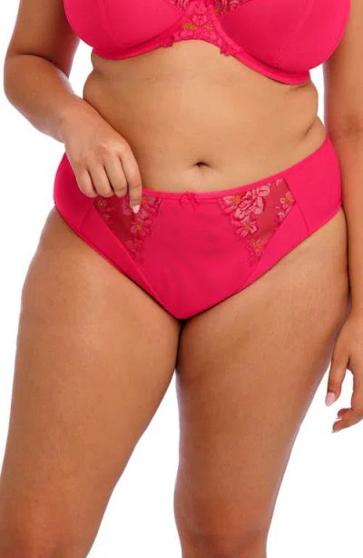 Elomi Teagan High Leg Briefs