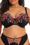 Elomi Plus Size Teagan Underwire Padded Half Cup Bra In Multi