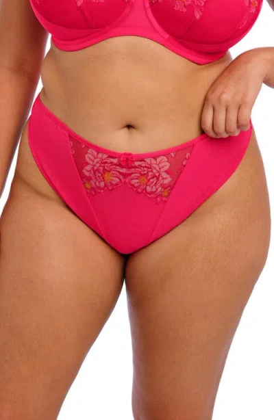 Elomi Teagan Thong