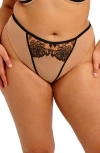 Elomi Teagan Thong In Brown