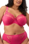 Elomi Charley Side Support Plunge Bra In Love Potion