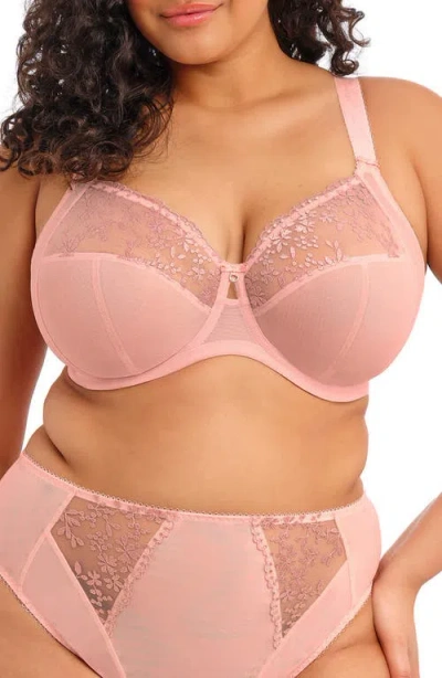 Elomi Zarla Full Figure Underwire Bra In Pink