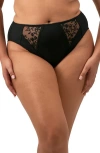 Elomi Zarla High Leg Briefs In Black