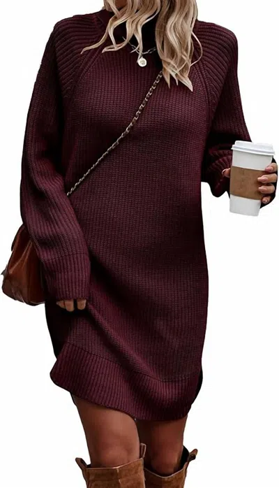 Elook Knit Turtleneck Sweater Dress In Burgundy In White