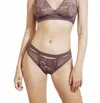 Else Petunia Brief In Fig In Brown