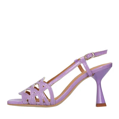 Elvio Zanon Sandals Purple In Black