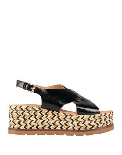 Elvio Zanon Woman Espadrilles Black Size 8 Leather In Multi
