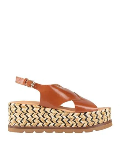 Elvio Zanon Woman Espadrilles Tan Size 7 Leather In Brown
