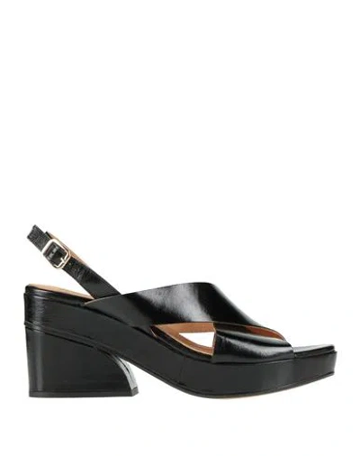 Elvio Zanon Woman Sandals Black Size 11 Leather