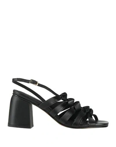 Elvio Zanon Woman Sandals Black Size 6 Soft Leather