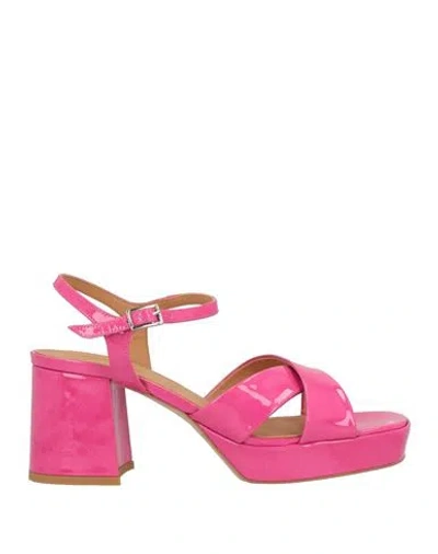 Elvio Zanon Woman Sandals Fuchsia Size 9 Leather In Multi