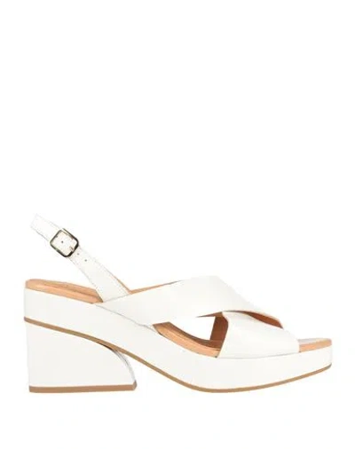 Elvio Zanon Woman Sandals Ivory Size 11 Leather