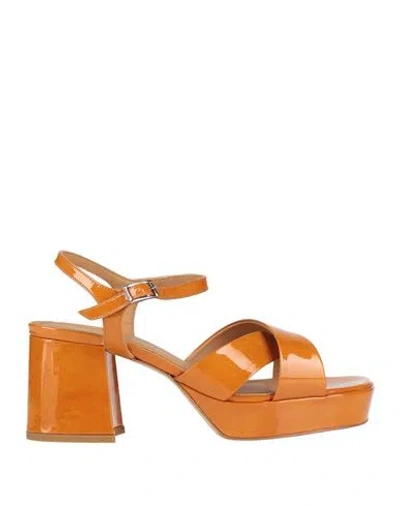 Elvio Zanon Woman Sandals Marigold Size 6 Leather In Yellow