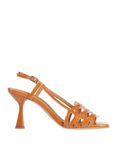 Elvio Zanon Woman Sandals Orange Size 6 Leather