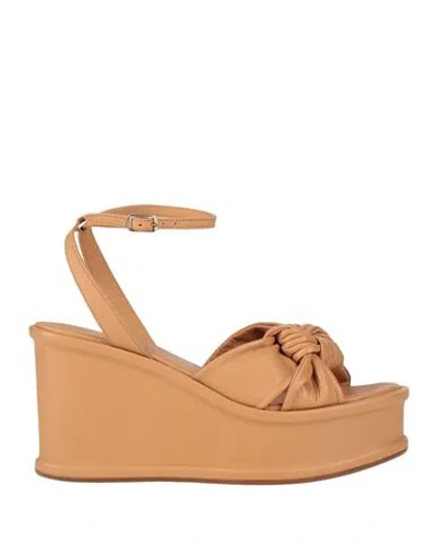 Elvio Zanon Woman Sandals Sand Size 11 Leather In Beige