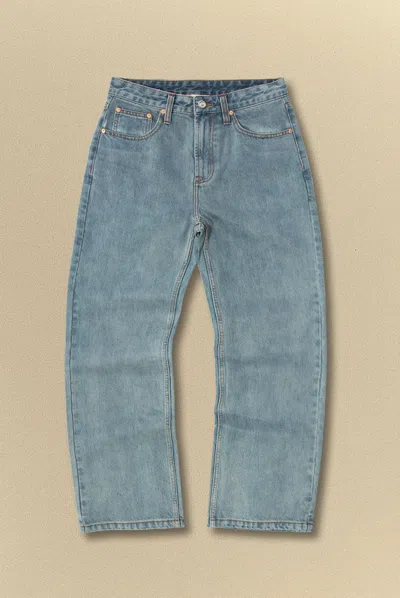 Elwood Baggy Denim Pant In Blue
