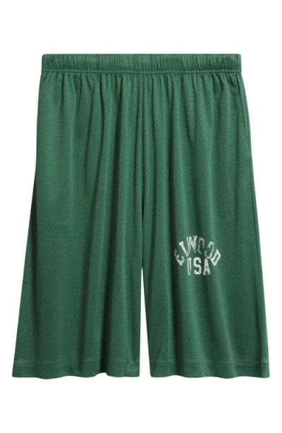 Elwood Canopy Mesh Basketball Shorts In Green