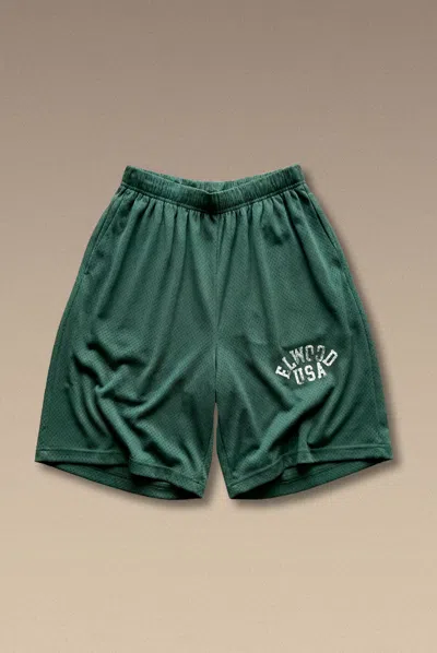 Elwood Canopy Short In Green