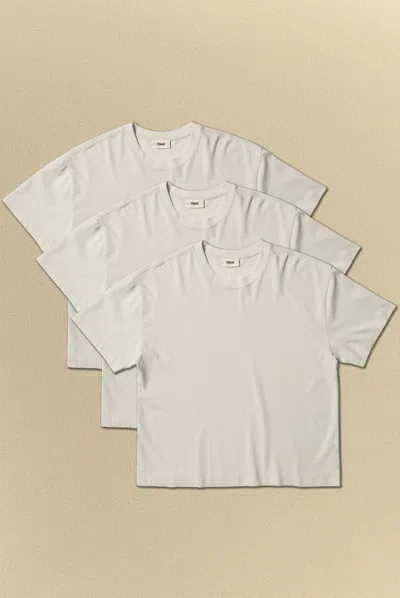 Elwood Crop Hill Tee 3 Pack In White