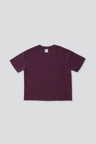 Elwood Crop Hill Tee In Maroon