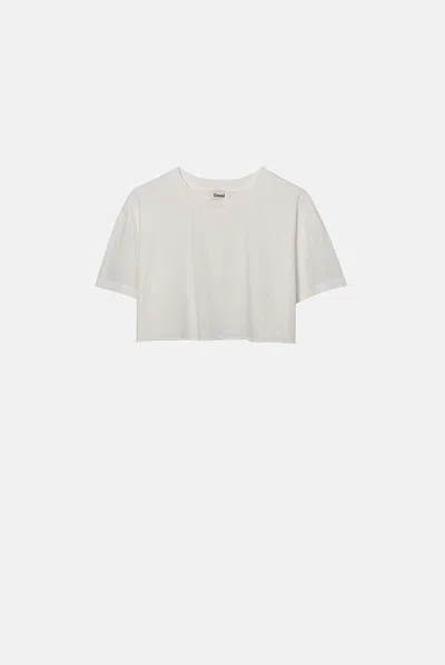 Elwood Oversized Baby Core Tee In Multi