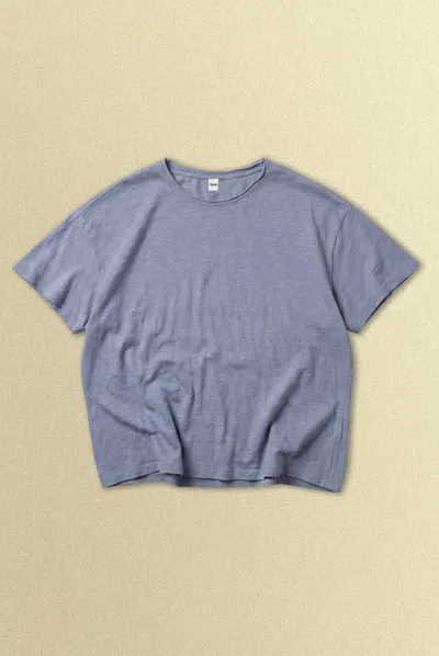 Elwood Slub Tee In Blue