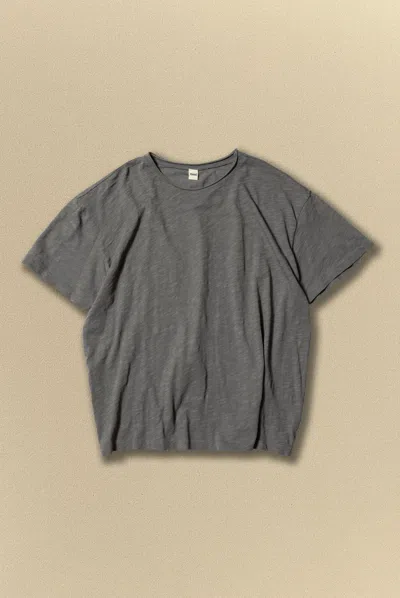 Elwood Slub Tee In Gray